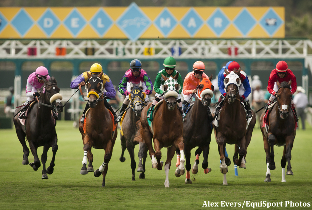 Spirited Seniors: Del Mar Races