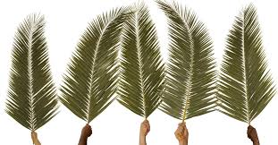 Palm Sunday